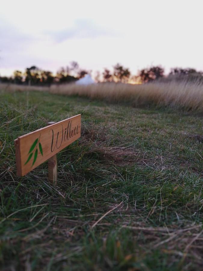 6M Emperor Tent Near Whitby With Log Burner Liverton ภายนอก รูปภาพ